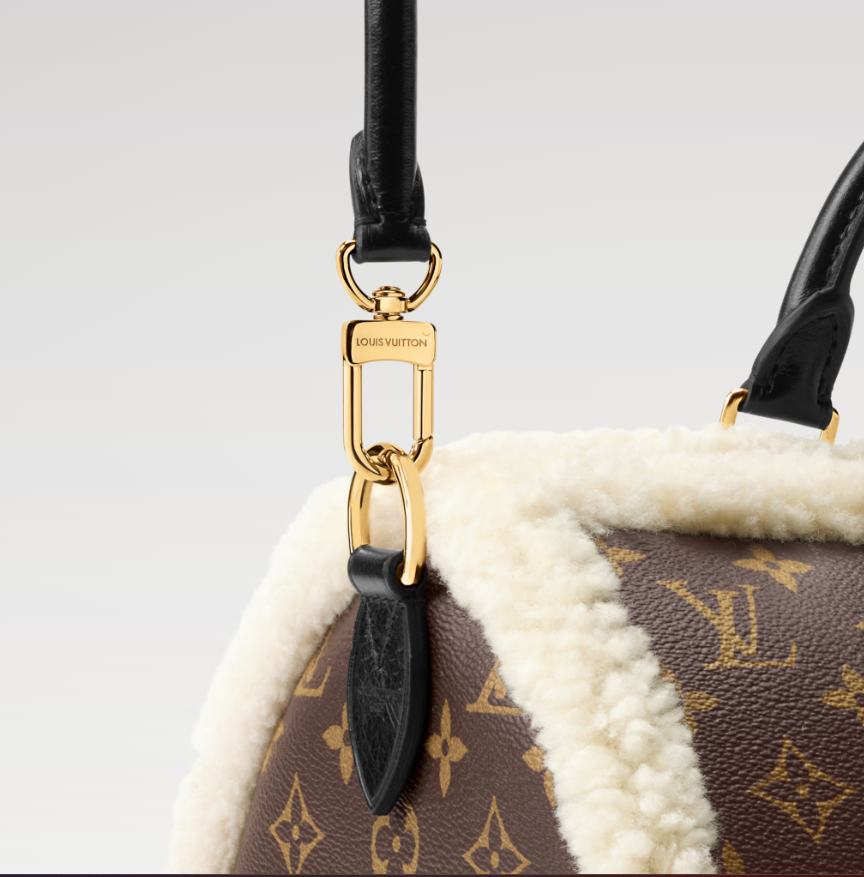 Louis Vuitton Speedy Soft 30 Teddy Monogram Canvas