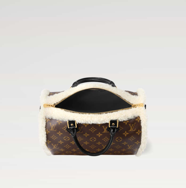 Louis Vuitton Speedy Soft 30 Teddy Monogram Canvas