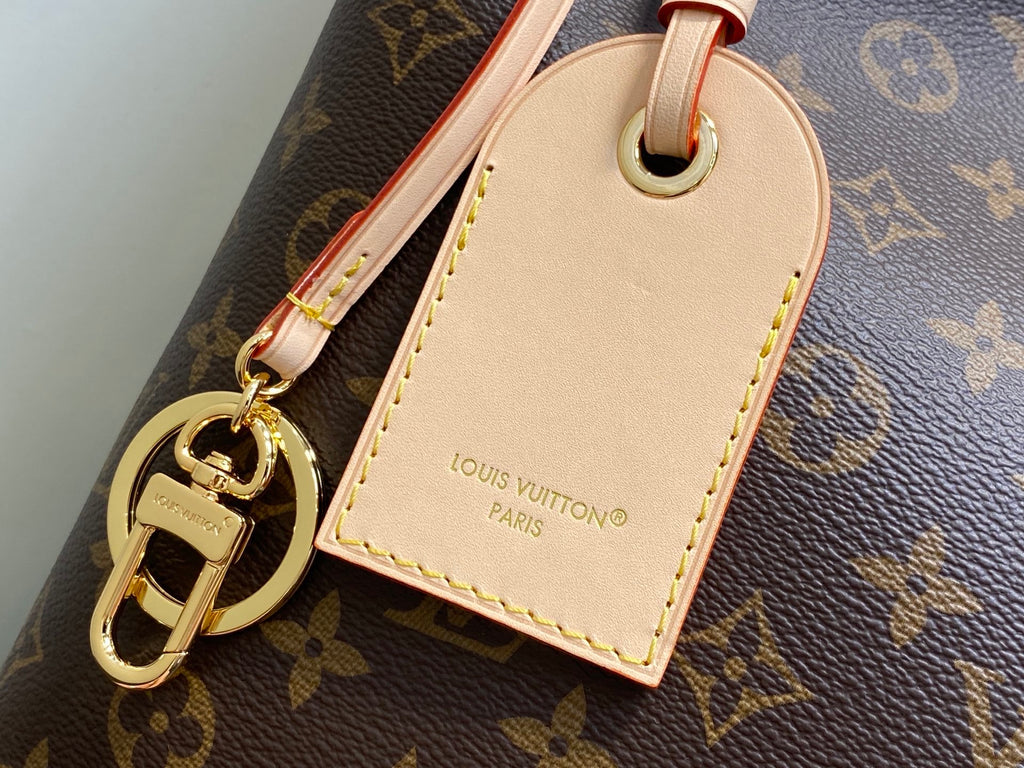 Again Handbag with a classic Monogram canvas base